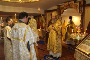 Божественная литургия в храме Феофана Затворника г. Новоаннинского.